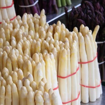 Spargelverkaufsstand in Heynburg ausgeraubt!  Dreister Dieb greift Verkäuferin mit Pfefferspray an