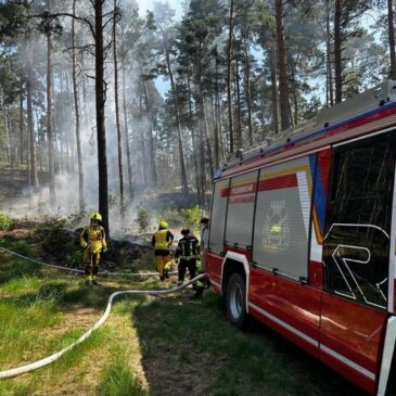 Polizeirevier Harz: Aktuelle Polizeimeldungen
