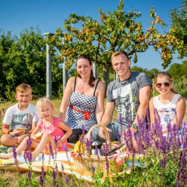 Picknicktag am Sonntag mit Livemusik im Elbauenpark