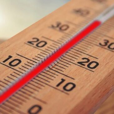 Hochsommerwetter: Erste Hitzewelle des Jahres kommt