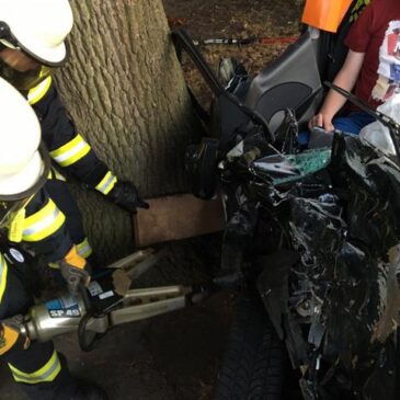 Feuerwehr im Einatz: Autofahrer nach Verkehrsunfall eingeklemmt