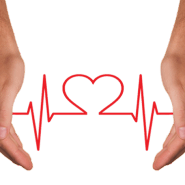 6. Herzwoche der Initiative Herzgesundheit Sachsen-Anhalt / Kostenfreie Angebote des Gesundheits- und Veterinäramts