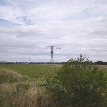 Solarpark in Haldensleben an der Bülstringer Straße geplant: Infoveranstaltung und Bürgerbefragung