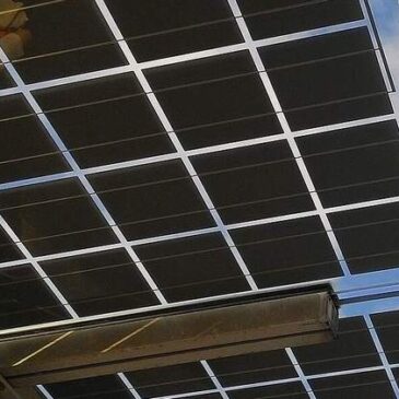 Energie-Sommertour: Willingmann sieht Entwicklungschancen für Agri-Photovoltaik in Sachsen-Anhalt