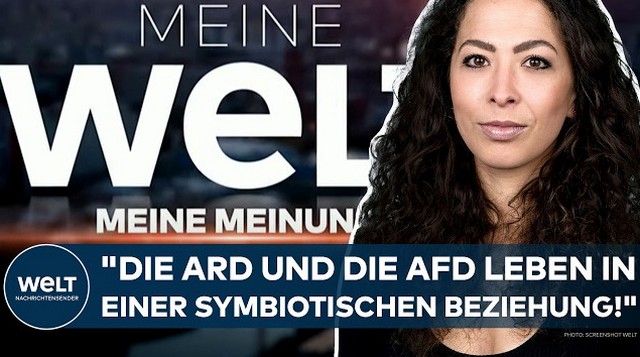 ANNA SCHNEIDER: Weidel-Sommerinterview! „Das war ja wirklich ein journalistisches Total-Versagen!“