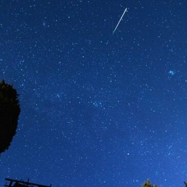 Perseiden 2025 erreichen ihren Höhepunkt – Störfaktor Mond