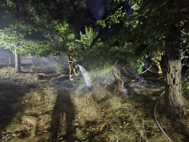 Polizeirevier Harz: Aktuelle Polizeimeldungen