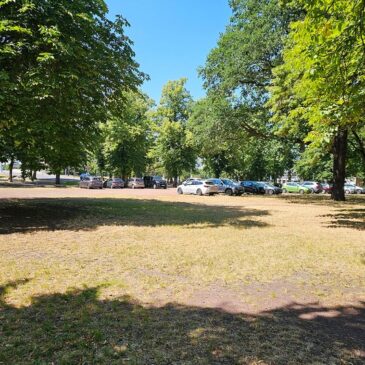 Im Stadtpark entsteht eine Calisthenicsanlage / Mehr Bewegungsvielfalt für alle Generationen