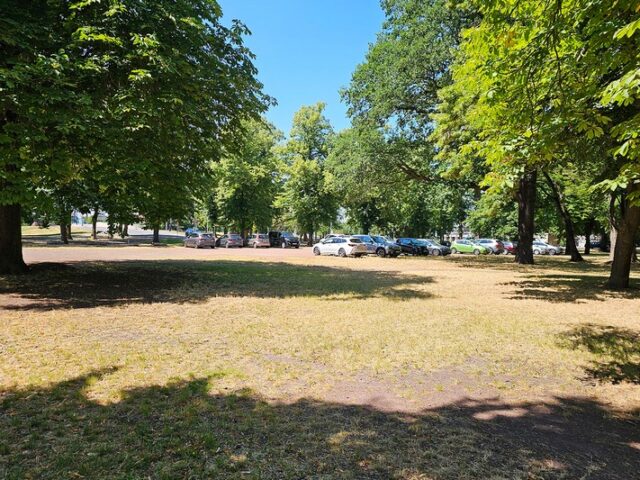 Im Stadtpark entsteht eine Calisthenicsanlage / Mehr Bewegungsvielfalt für alle Generationen