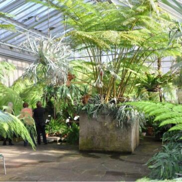 Musikalisch-botanischer Wandelgang in den Gruson-Gewächshäusern / Heute um 19.00 Uhr in der Schönebecker Straße