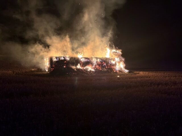 Polizeirevier Stendal: Aktuelle Polizeimeldungen