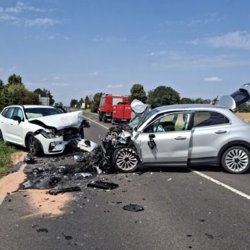 Verkehrsunfall auf der L50 mit verletzten Personen