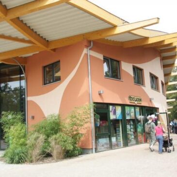 Erweiterte Öffnungszeiten vom 2. bis 10. August 2025 im Zoo Magdeburg