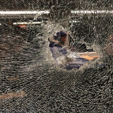 46-Jähriger bewirft Regionalbahn mit Schottersteinen
