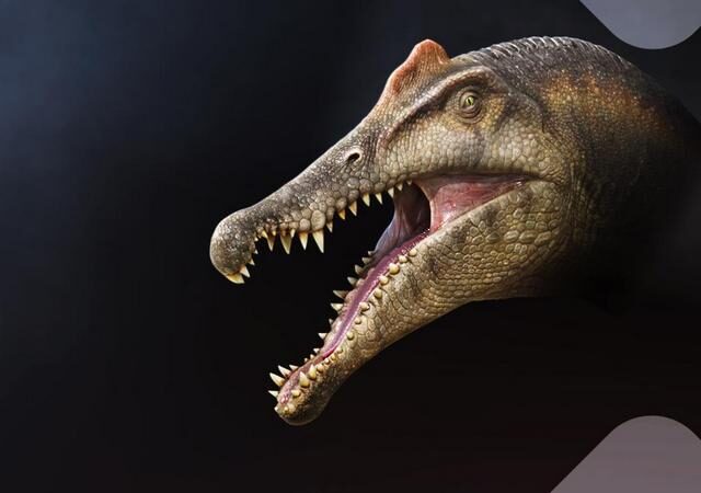 Terra X Doku: Unter Dinos – Geheimnisse der Urzeit – Der Vater (ZDF 19:30 – 20:15 Uhr)