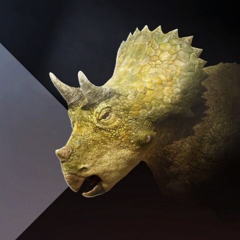 Terra X Doku: Unter Dinos – Geheimnisse der Urzeit – Das Waisenkind (ZDF  19:30 – 20:15 Uhr)