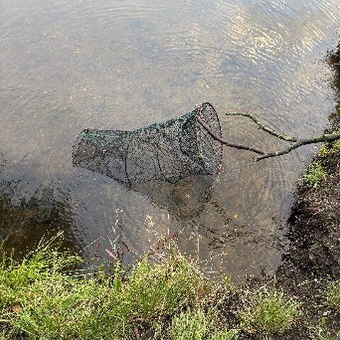 Polizeirevier Börde: Aktuelle Polizeimeldungen