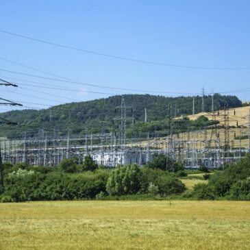 ifo-Institut und Energiewirtschaft warnen vor Abwürgen der Energiewende