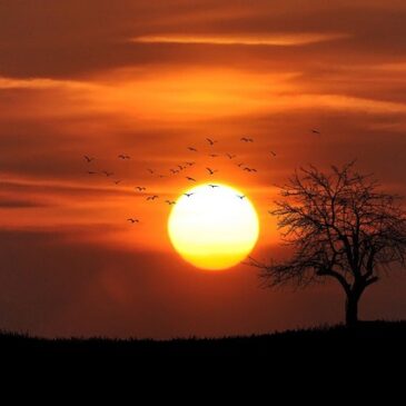 Hitze vorerst vorbei: Weniger drückendes Sommerwetter