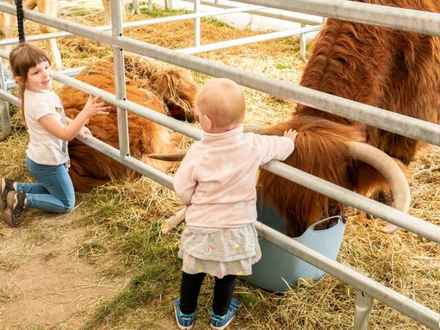 Landeserntedankfest voraus! Große Jubiläumsveranstaltung am 20. und 21. September im Elbauenpark Magdeburg