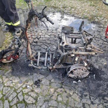 Polizeirevier Harz: Aktuelle Polizeimeldungen