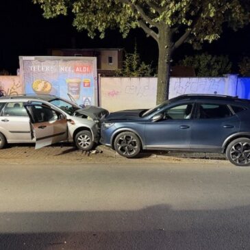 Polizeirevier Harz: Aktuelle Polizeimeldungen