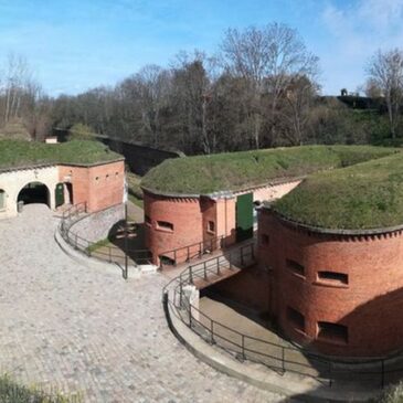 Von Mittelalter bis Moderne: Stadtgeschichte hautnah am Tag des offenen Denkmals erleben