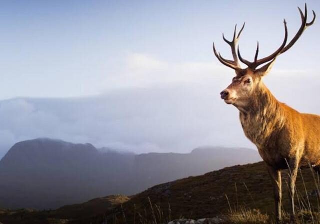 Erlebnis Erde: Faszination Europa (3): Majestätische Berge (Das Erste  20:15 – 21:00 Uhr)