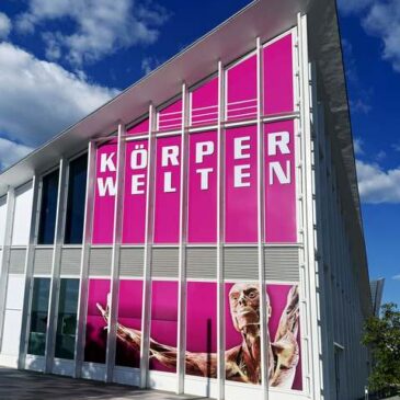 „KÖRPERWELTEN“ sorgen für nächsten Erfolg für die Magdeburger Hyparschale
