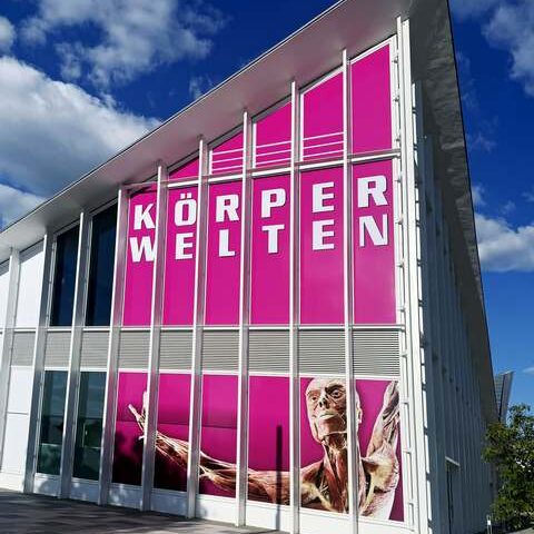 „KÖRPERWELTEN“ sorgen für nächsten Erfolg für die Magdeburger Hyparschale