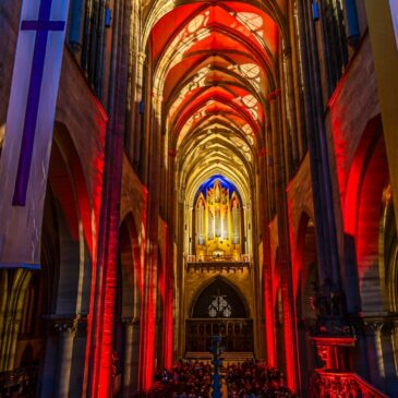 Der Dom mit Licht und Klang – Lange Orgelnacht am Donnerstag mit zwei Organisten an drei Orgeln