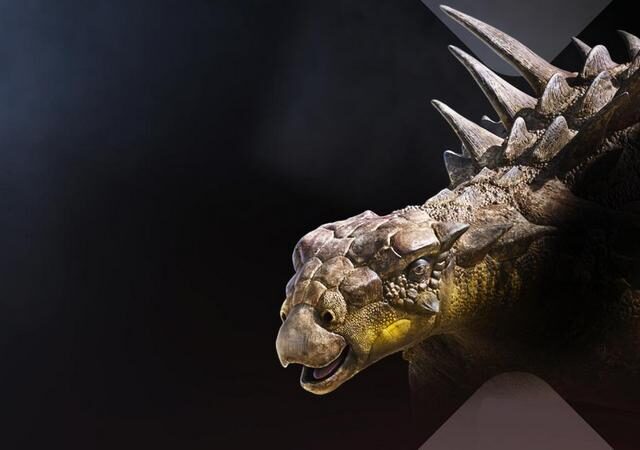 Terra X Doku: Unter Dinos – Geheimnisse der Urzeit – Beste Freunde (ZDF 19:30 – 20:15 Uhr)