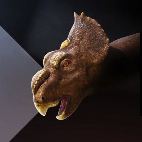 Terra X Doku: Unter Dinos – Geheimnisse der Urzeit – Die große Reise (ZDF 19:30 – 20:15 Uhr)