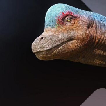 Terra X Doku: Unter Dinos – Geheimnisse der Urzeit – Die Insel der Giganten (ZDF 19:30 – 20:15 Uhr)