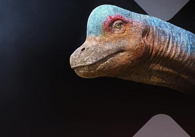 Terra X Doku: Unter Dinos – Geheimnisse der Urzeit – Die Insel der Giganten (ZDF 19:30 – 20:15 Uhr)