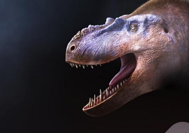 Terra X Doku: Unter Dinos – Geheimnisse der Urzeit – Das Rudel (ZDF 19:30 – 20:15 Uhr)