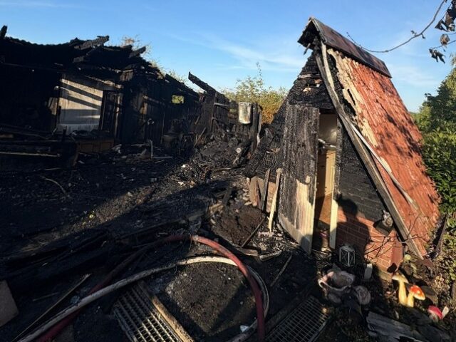 Polizeirevier Harz: Aktuelle Polizeimeldungen