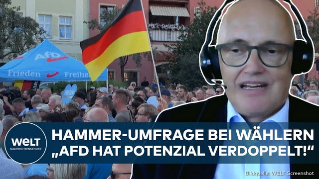 DEUTSCHLAND: Rekord-Umfrage für AfD! Experte mit harter Analyse zum Höhenflug
