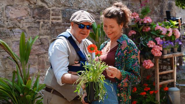 Herzkino am Sonntag: Rosamunde Pilcher – Wer immer du bist (ZDF 20:15 – 21:45 Uhr)