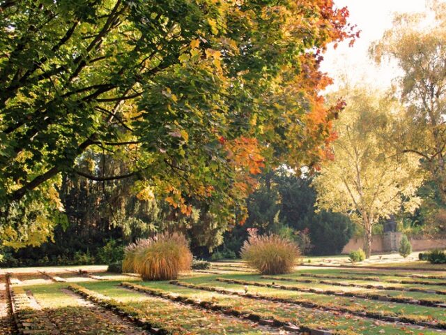 Auf den Spuren der TV-Dokumentation „Auf Leben und Tod – Der Westfriedhof Magdeburg“ / Rundgang am 17. Oktober um 16:30 Uhr