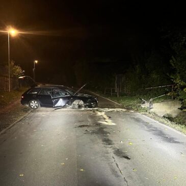 Polizeirevier Harz: Aktuelle Polizeimeldungen