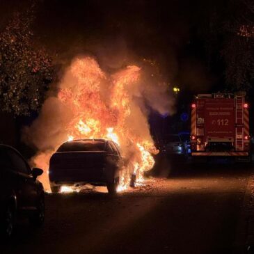 Polizeirevier Harz: Aktuelle Polizeimeldungen