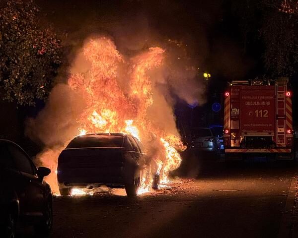 Polizeirevier Harz: Aktuelle Polizeimeldungen