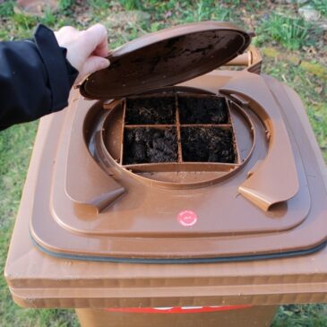 20 Biotonnen wegen falscher Befüllung nicht geleert / Magdeburg beteiligte sich an bundesweiten Kontrollen