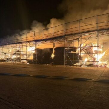 Feuerwehr im Einsatz: Lagerscheune brennt in Egeln / 1,5 Millionen Euro Schaden