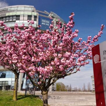Universitätsmedizin Magdeburg und International Neuroscience Institute Hannover setzen gemeinsames Zeichen für die Zukunft der neurologischen und psychiatrischen Medizin