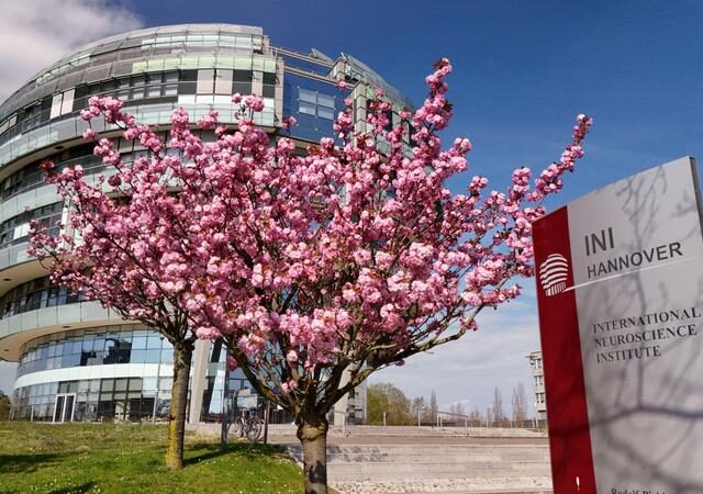 Universitätsmedizin Magdeburg und International Neuroscience Institute Hannover setzen gemeinsames Zeichen für die Zukunft der neurologischen und psychiatrischen Medizin