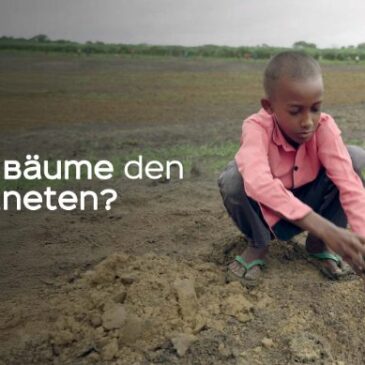 Doku: Retten Bäume den Planeten? (Arte  20:15 – 21:45 Uhr)