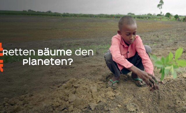 Doku: Retten Bäume den Planeten? (Arte  20:15 – 21:45 Uhr)