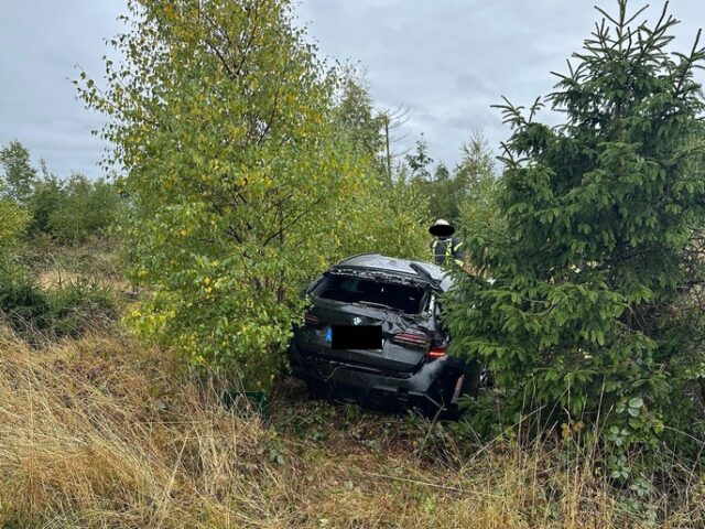 Angetrunkener Autofahrer kommt von Fahrbahn ab